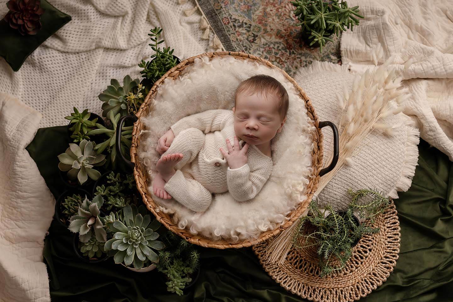 A newborn baby sleeps in a white knit onesie in a woven basket surrounded by succulents