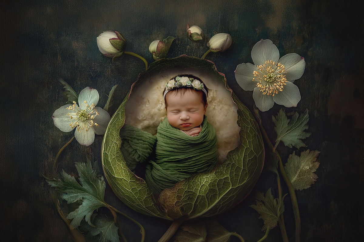 A sleeping baby girl in a green swaddle inside a leaf in a studio thanks to a midwife in Springfield, IL