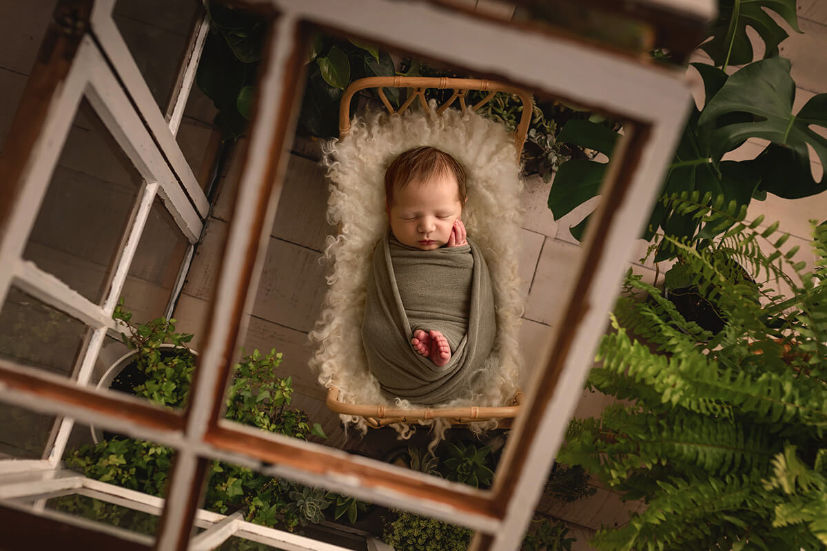 A look down to a sleeping newborn baby in a wicker basket surrounded by house plants thanks to a 3d ultrasound in Springfield, IL