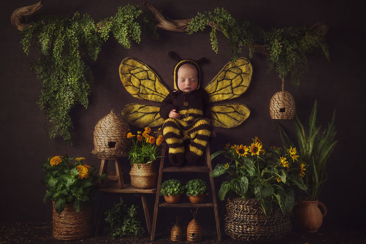 A newborn sitting on a wooden ladder surrounded by plants in a knit bee costume