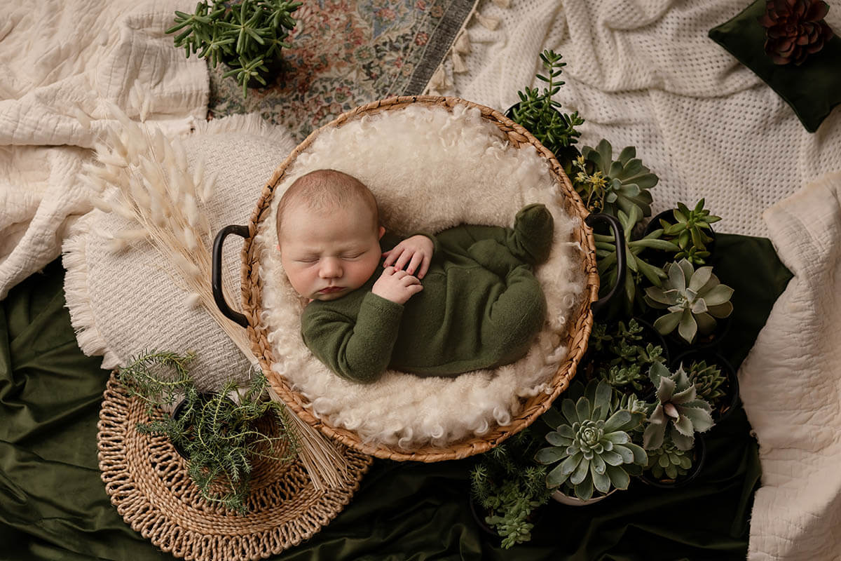 A sleeping newborn in a green onesie inside a wicker bowl surrounded by succulents