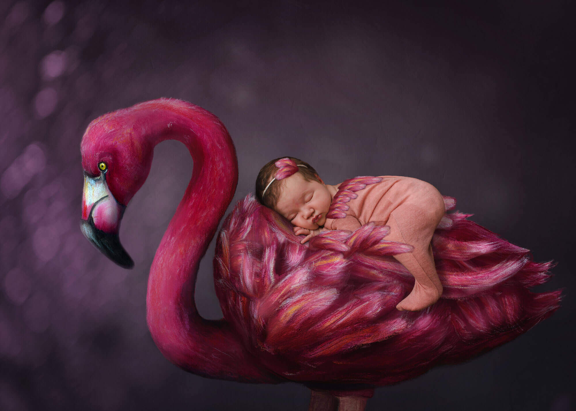 A sleeping newborn in a pink onesie on the back of a flamingo